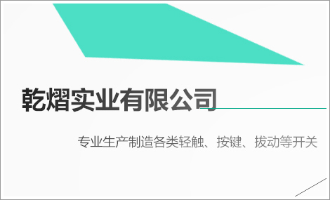 中山开关